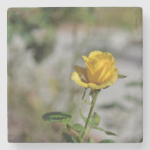 4のバラ園のコースターのコレクション2