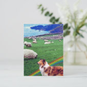 4アイルランド沿岸、コリー&ヒツジの群#2 ポストカード (スタンド正面)