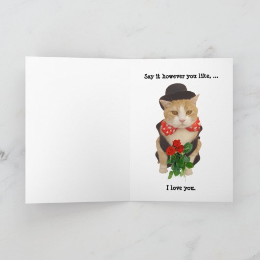 4カおもしろい国語で猫と子猫を愛するバレンタイン シーズンカード (内部)