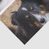 4カスタム枚ペット写真コラージュテンプレート&文字 薄葉紙 (詳細)