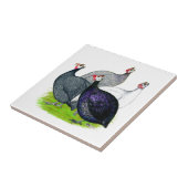 4ギニー タイル (側面)