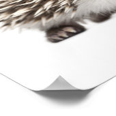 4トエドHedgehog - Atelerix albiventris ポスター (角)