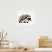 4トエドHedgehog - Atelerix albiventris ポスター (キッチン)