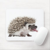 4トエドHedgehog - Atelerix albiventris マウスパッド (マウス)