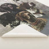 4ドイツ語の短いポインタの色 シェルパブランケット (3/4)