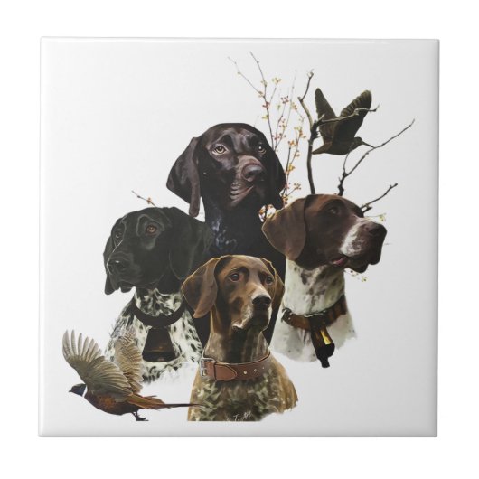 4ドイツ語の短いポインタの色 タイル (正面)