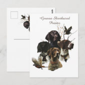 4ドイツ語の短いポインタの色 ポストカード (正面/裏面)