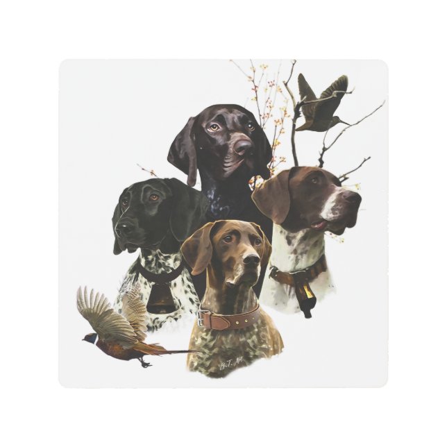 4ドイツ語の短いポインタの色 メタルプリント (正面)