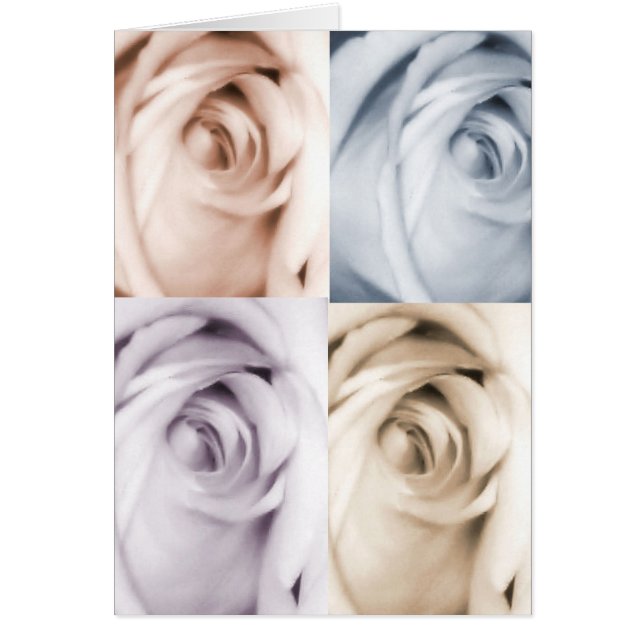 4バラカード (正面)