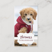 4フォトペトフレンサー 名刺 (正面)