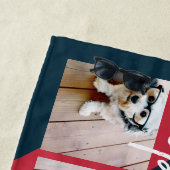 4フォトレトロストライプパターン虹スクリプト名 ビーチタオル (インサイチュ)