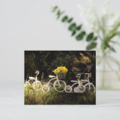 4ホワイトトライアック ポストカード (スタンド正面)