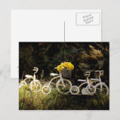 4ホワイトトライアック ポストカード (正面/裏面)