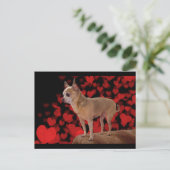 4ポンドの純粋な愛 ポストカード (スタンド正面)