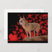 4ポンドの純粋な愛 ポストカード (正面/裏面)