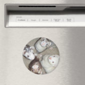 4マスケット銃兵フェレット! マグネット (インサイチュ (食洗機))