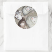 4マスケット銃兵フェレット！ ラウンドシール (バッグ)