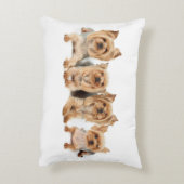 4ヨークシャーテリア アクセントクッション (裏面(縦))