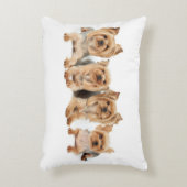 4ヨークシャーテリア アクセントクッション (正面(垂直))