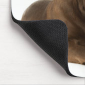 4ヶ月のチョコレート実験室の子犬あくびをする マウスパッド (コーナー)