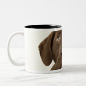 4ヶ月のチョコレート実験室の子犬のポートレート ツートーンマグカップ (左)