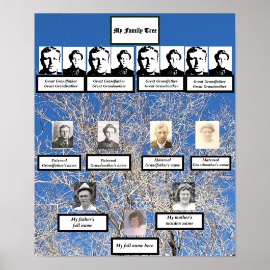 4世代の葉なしツリー家族の木の写真 ポスター (正面)