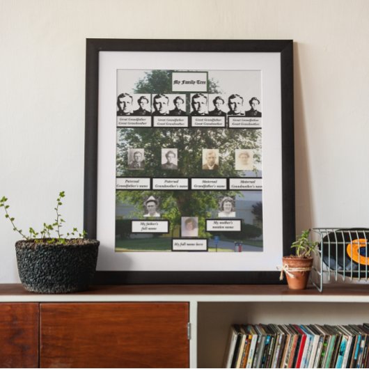 4世代夏期エルムファミリーツリーの写真 ポスター