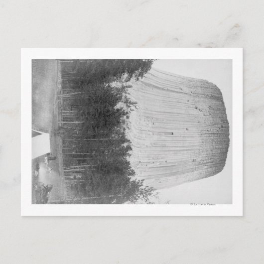 4人が前景にある悪魔の塔 ポストカード (正面)