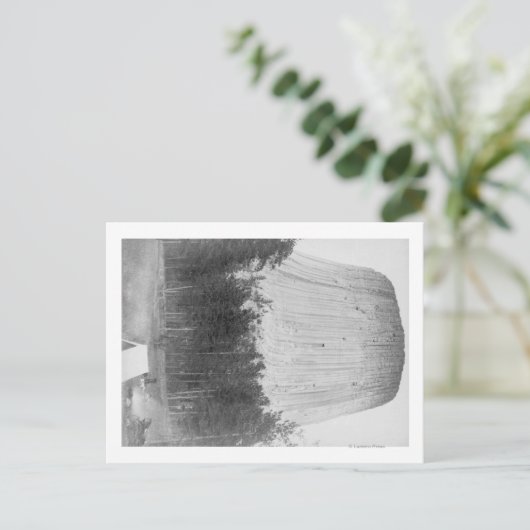 4人が前景にある悪魔の塔 ポストカード (スタンド正面)