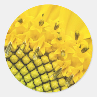 4分の1の太陽 ラウンドシール