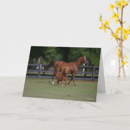 4分の1の馬とミニチュアが一緒に カード (黄色い花)