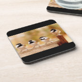 4匹のかわいい《鳥》アメリカゴガラ コースター (左側)