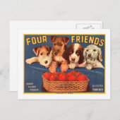 4匹の友人のヴィンテージのトマトの木枠のラベル犬 ポストカード (正面/裏面)