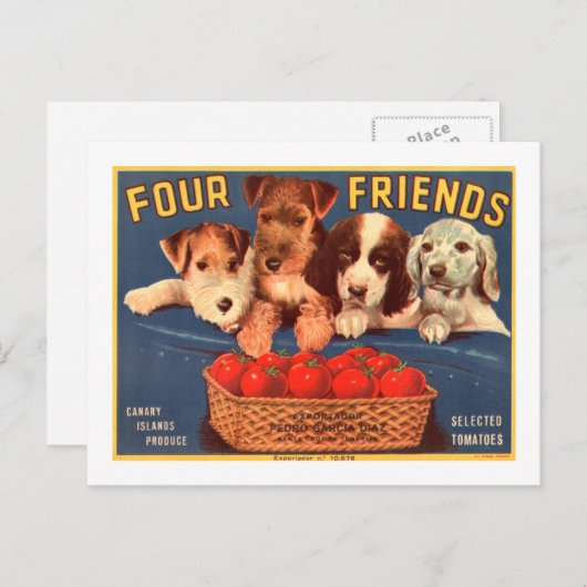 4匹の友人のヴィンテージのトマトの木枠のラベル犬 ポストカード (正面/裏面)