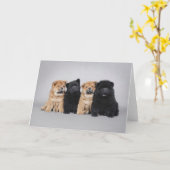 4匹の小さいチャウチャウの子犬 カード (黄色い花)