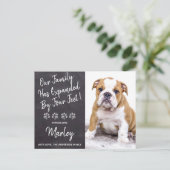 4匹の足で新しいペットの子犬 案内ポストカード (スタンド正面)