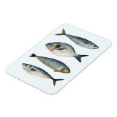 4匹の魚 マグネット (左側)
