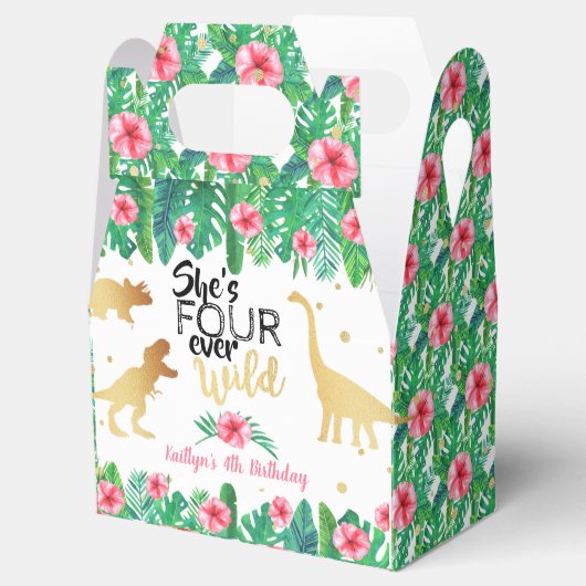 4回の野生の恐竜の女の子4歳の誕生日 フェイバーボックス (オープン)