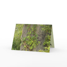 「4回も」 別れのグリーティングカード