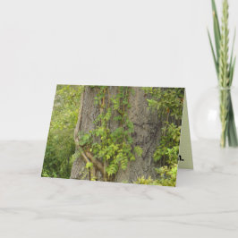 「4回も」 別れのグリーティングカード カード