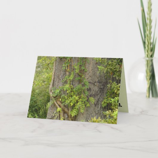 「4回も」 別れのグリーティングカード カード (正面)