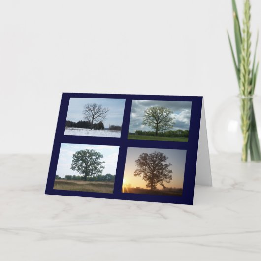 4季節の木 カード (正面)