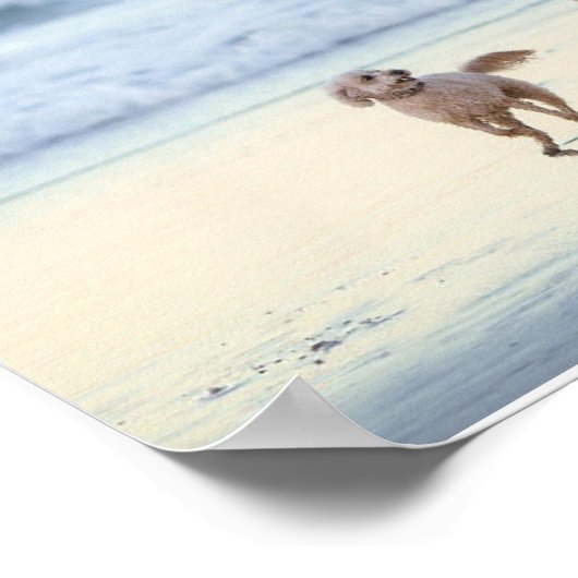 4家族の写真コラージュを作成 ポスター (角)