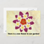4庭に新しい花がある ポストカード (正面/裏面)