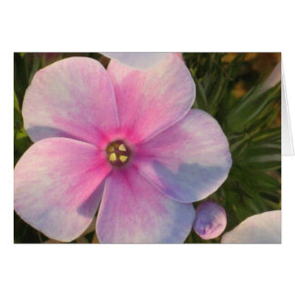 4時の花カード