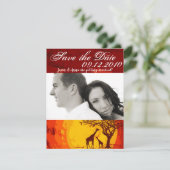 4時間365日保存African Safari Giraffe Suns 招待状 (スタンド正面)