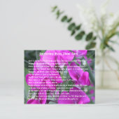 4月についての興味深い事実 ポストカード (スタンド正面)