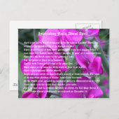 4月についての興味深い事実 ポストカード (正面/裏面)