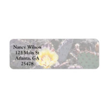 4月のサボテンの黄色い花