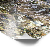 4月の朝 フォトプリント            (角)